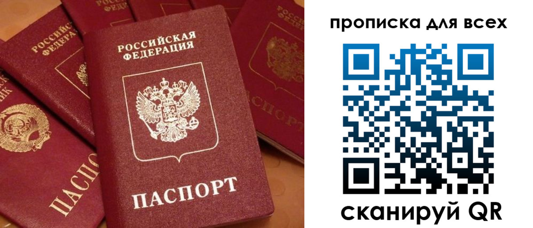 временная регистрация поиск в Ленинградской области